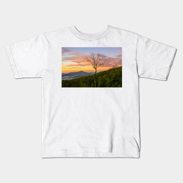 Dead Tree Sunset Kids T-Shirt by StacyWhite